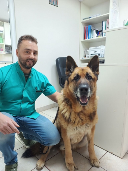 Cabinet veterinar Otopeni - Cabinet veterinar Dr. Stefan
